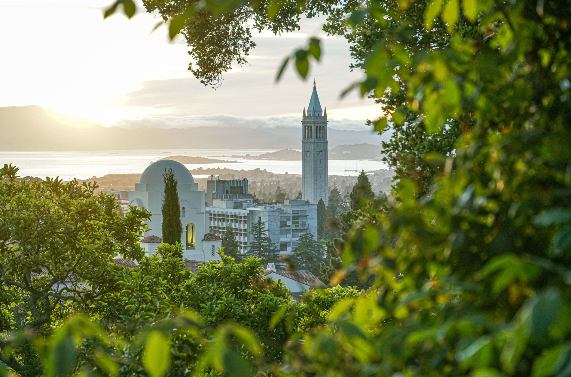 Berkeley (Open Houses)