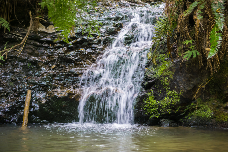 Portola Valley