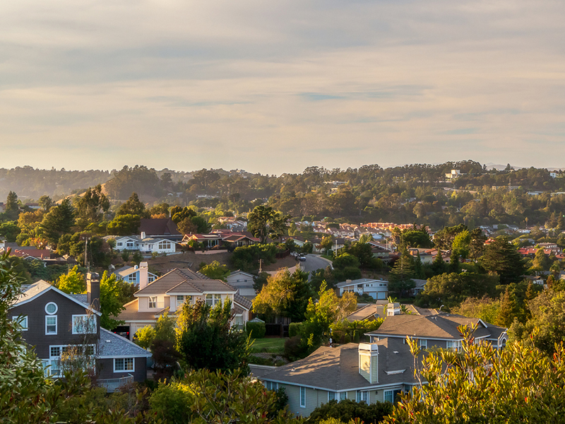 Belmont (Open Houses)