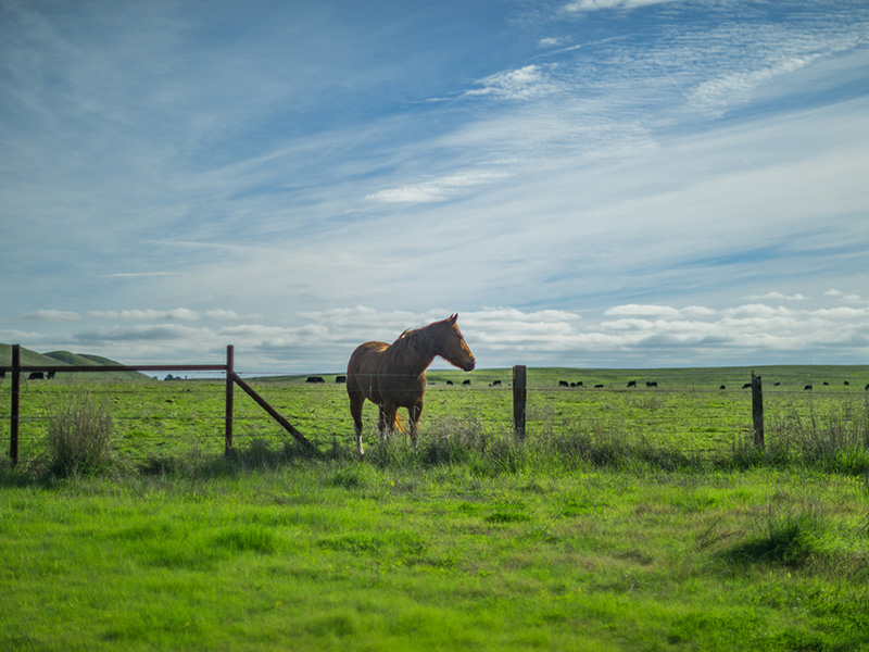 Suisun (Open Houses)